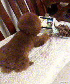 |“被阿姨盯了好几站了，我该怎么办？”哈哈哈哈哈哈...神评信息量真大啊！