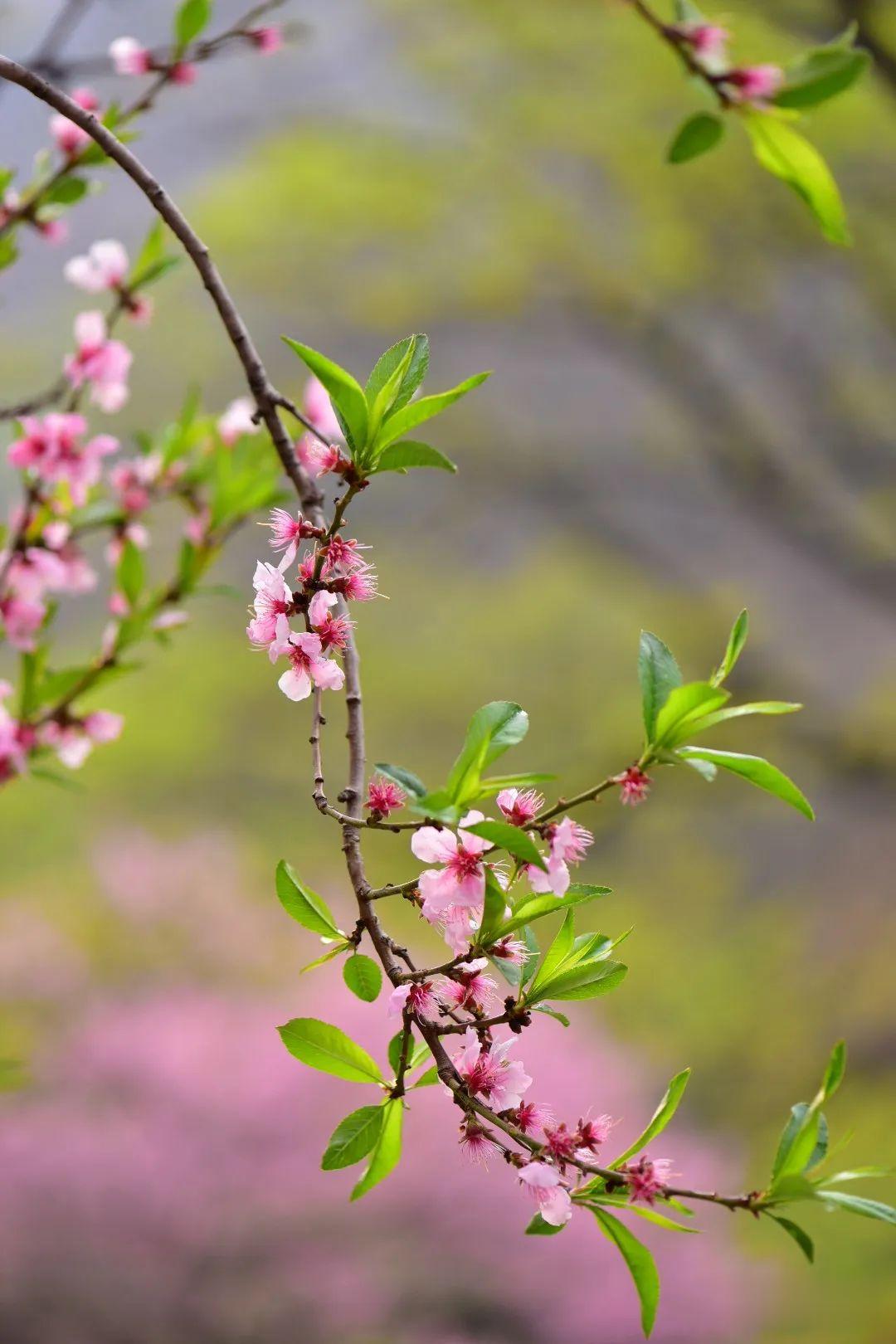 ▲周末，彩石溪走起！