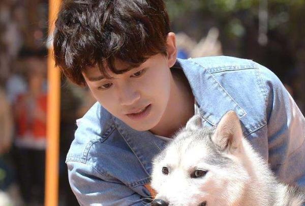 [奔跑吧兄弟]还记得3年前，任嘉伦在《跑男》的自我介绍吗？如今看真是神预言