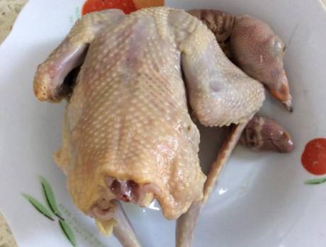 食材▲一鸽胜九鸡，夏天炖汤吃最滋补，鲜美还不上火，再贵也要给孩子吃