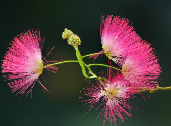 【生肖】下周开始财源广进，事业步步高升，4属相迎来好运，心想事成