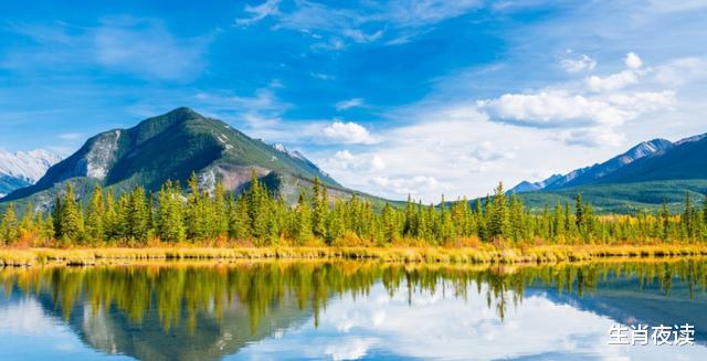 生肖|11月,可期可盼,烦心事烟消云散,3生肖爱情逐渐步入正轨,旧情复燃