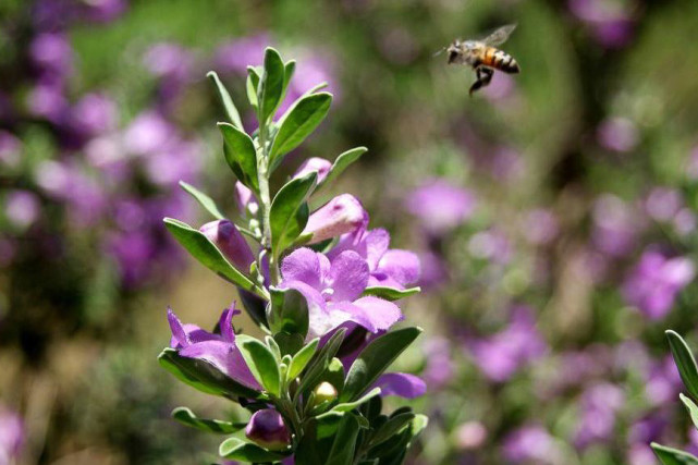 生肖|3大生肖,今年底有财神爷关照,赚钱不少职场如意,天天好心情!