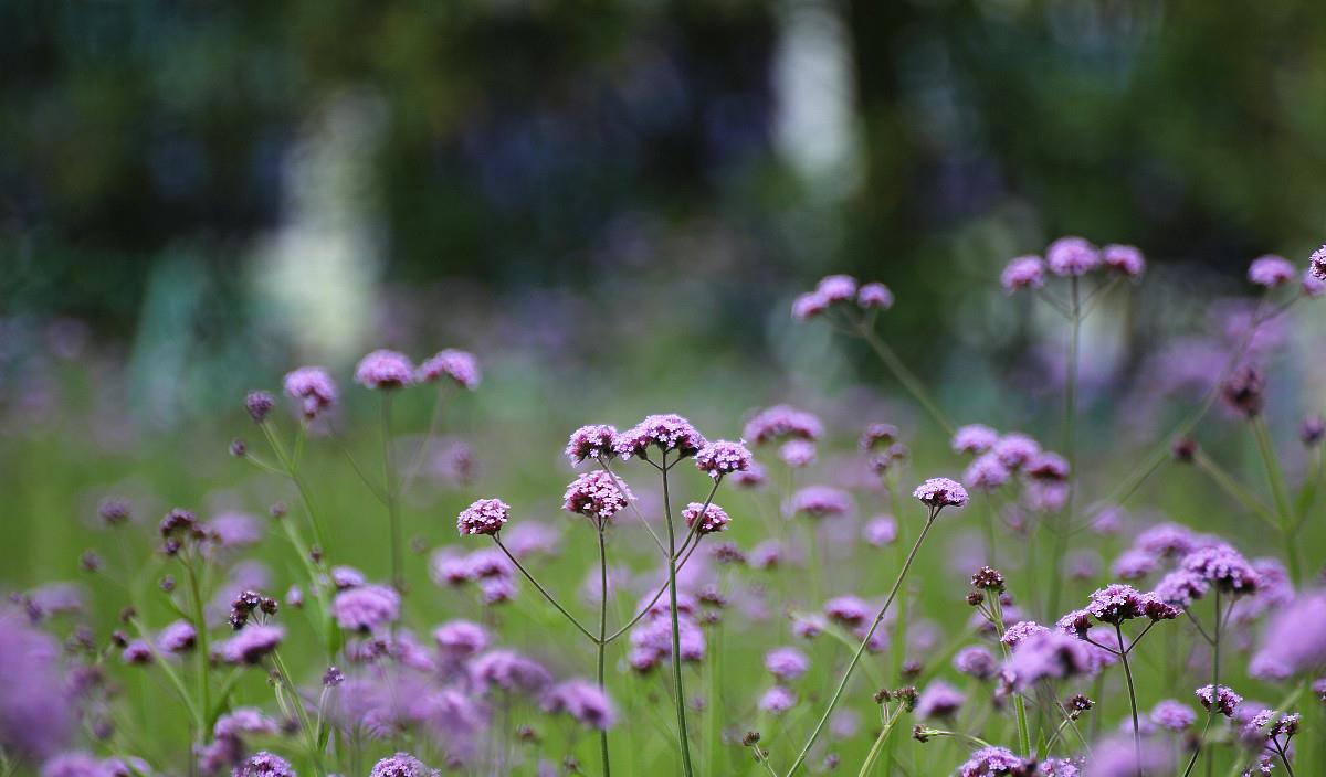 富贵吉祥|10月末,桃花爆满山,旧爱来复合,缘分天注定,破镜重圆的3星座