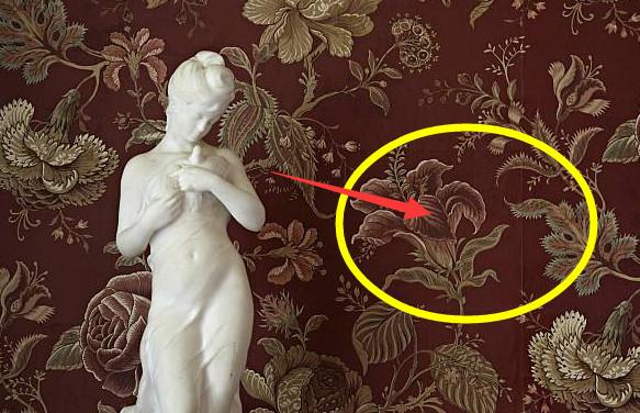 ：入住新房满腹牢骚变怨妇！气死败坏总结20大装修污点！钱烧个精光