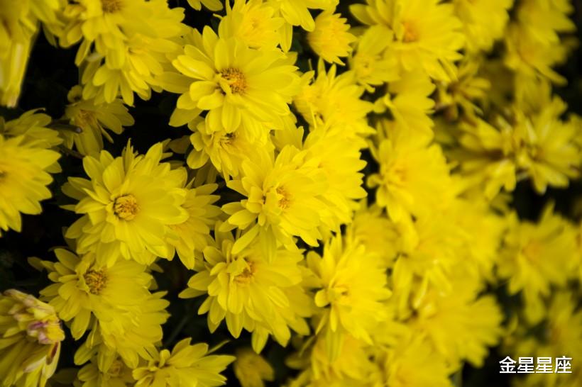 『运势』6月18号，福旺喜中财运的生肖，走一波运势上上签，金银堆满床