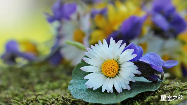 射手座:从5月中旬开始,柳暗花明,好运加身,逢凶化吉的三大星座