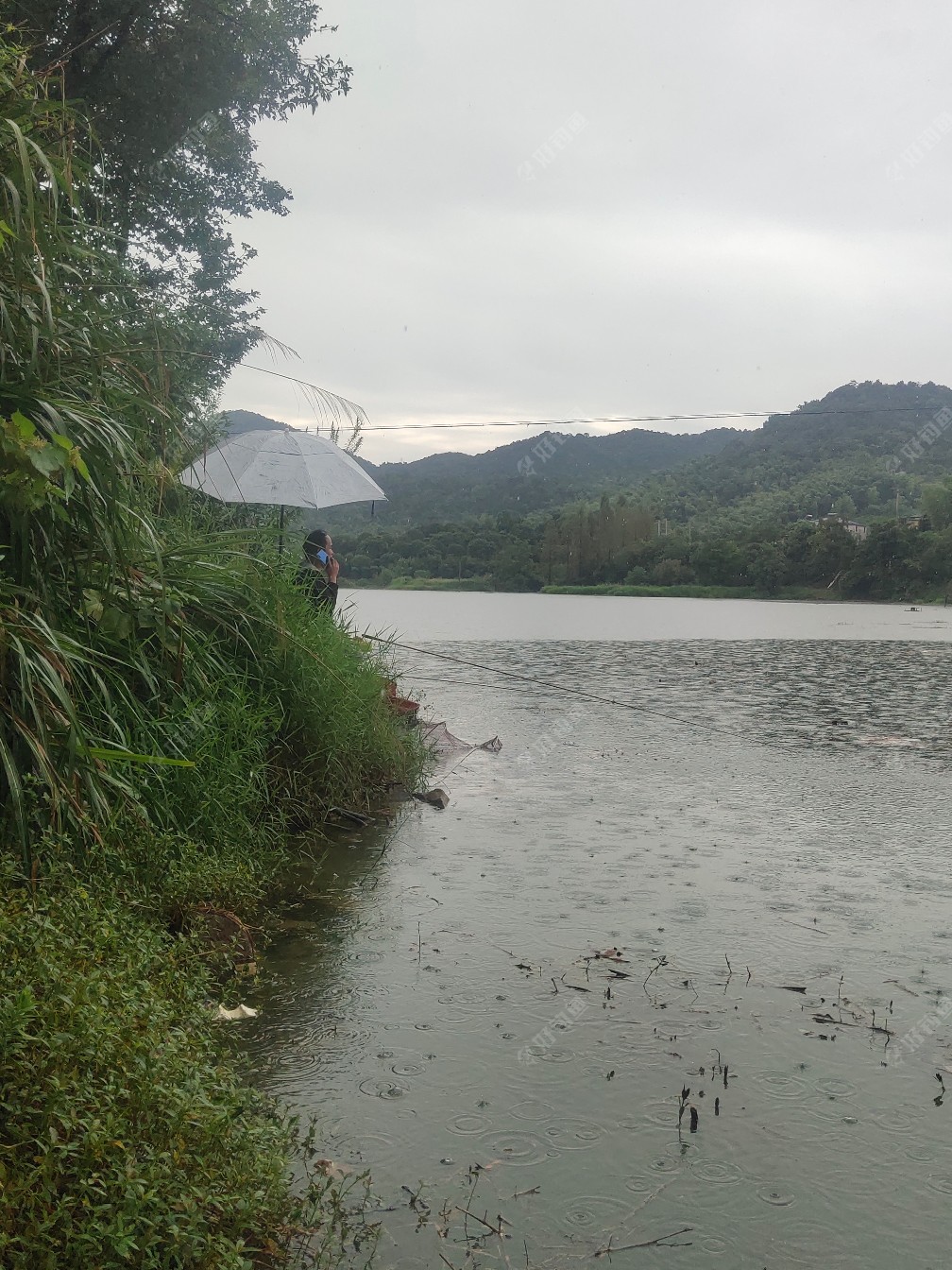 |秋雨绵绵，出钓山间水库，山美水美鱼更美