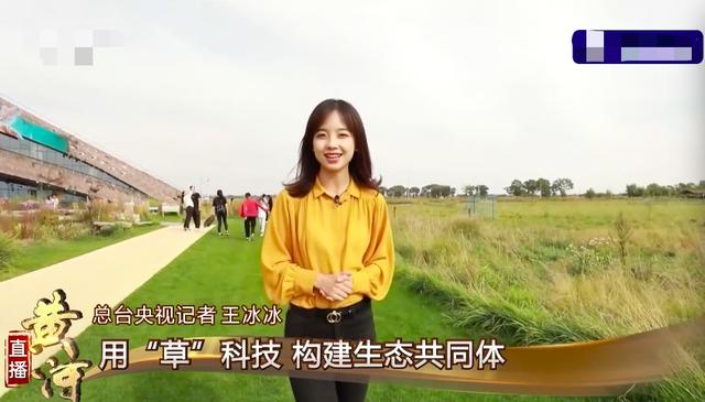 央视|央视记者王冰冰旧照被扒，皮肤黝黑驼背像土妞，逆袭过程被赞励志