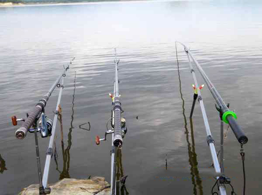 「饵料」纸上谈兵钓不好鱼，结合实战总结几点经验，分享给喜欢野钓的朋友