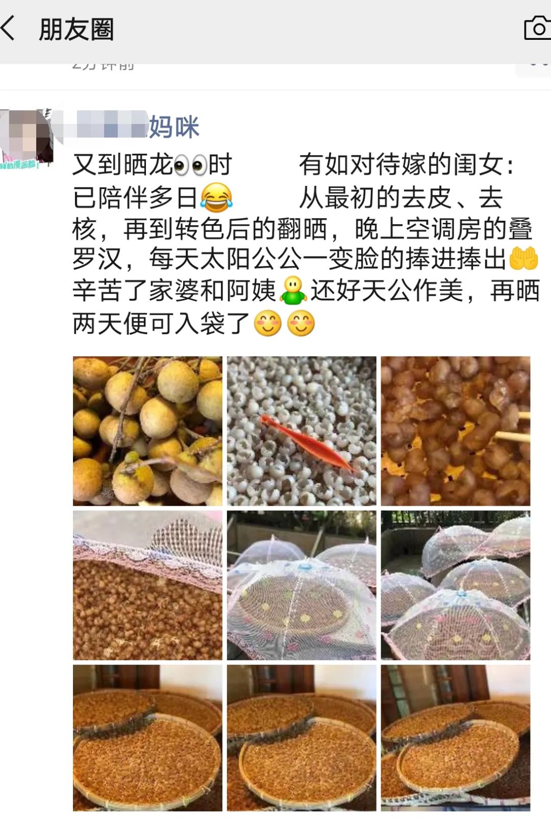 ＂原＂厚街发布|最近，厚街上空都飘着这三个字：晒龙眼！