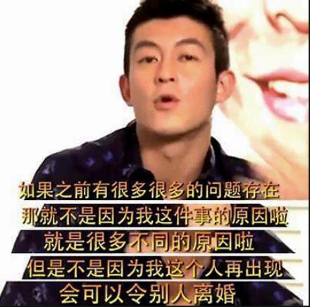 2012年张柏芝与谢霆锋离婚.