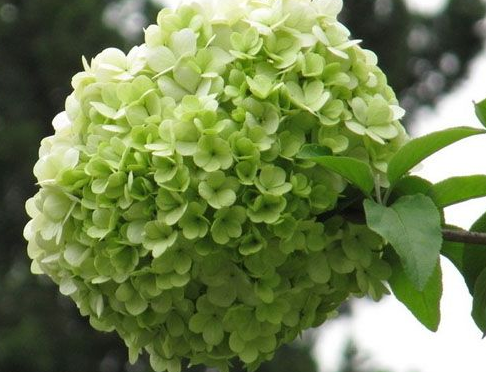 「」从6月16号开始,4属相烦恼全部远离,幸福感满满,生活顺风顺水