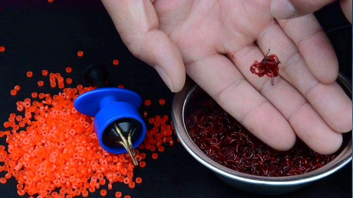 |红虫做饵，要分单打还是群殴，单打钓小鱼，群殴则大小鱼通杀