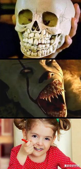 长征七号|动物的头骨和外形反差有多大？和预计的差太多了吧！