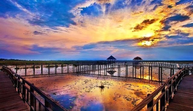 『厦门』泰国人为啥不爱做饭？他们厨房都省了，当地菜市场告诉你答案