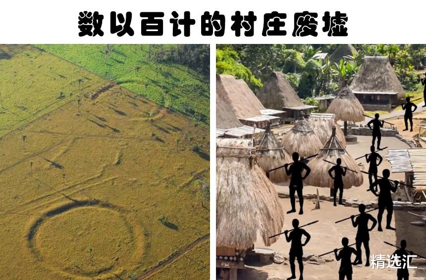 亚马孙热带雨林|隐藏在亚马逊雨林中的8件神奇的事物