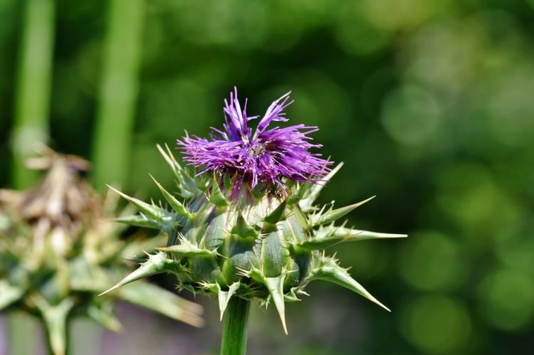 生肖|月中，爱情再美也有遗憾，深爱不纠缠，不再联系，永不相见的生肖