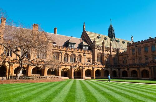 「」你知道吗？这些专业本科是五年制的