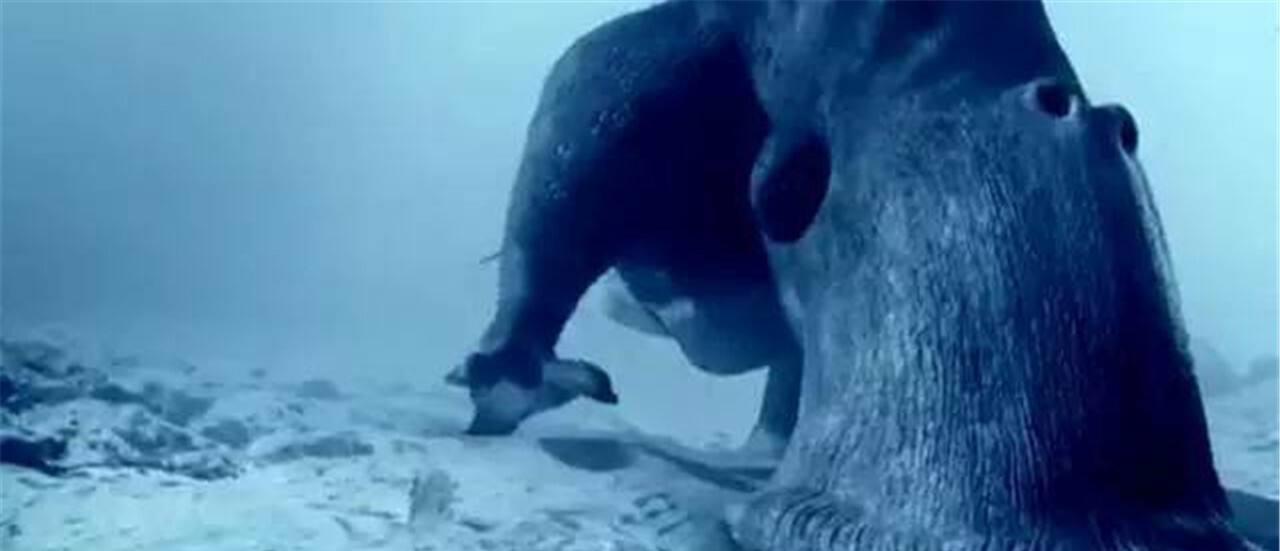 冥王星|冥王星发现“不明物”？卫星探测器放大后，令人害怕的一幕出现了