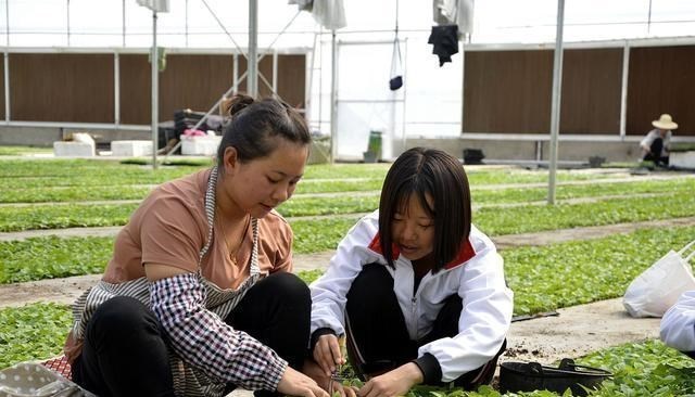 大学|大学专业就业率排名，工科比例最大，网友：情况属实！