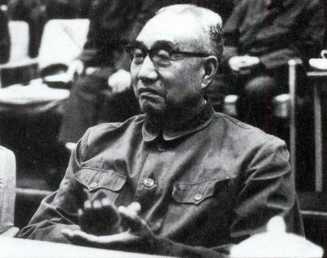 『徐小岩』徐向前的儿子带女朋友回家,徐帅做了一桌子青菜,一块肉也没有