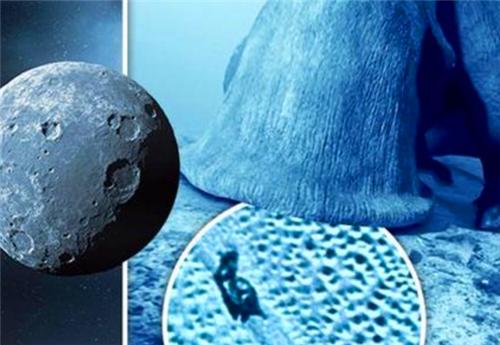 外星生命真存在?冥王星上拍下巨型“蜗牛”引争议,专家:很正常