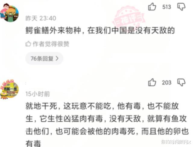鳄鱼|“到底是鳄鱼出了轨，还是鲶鱼劈了腿，”哈哈哈钓上来了什么？