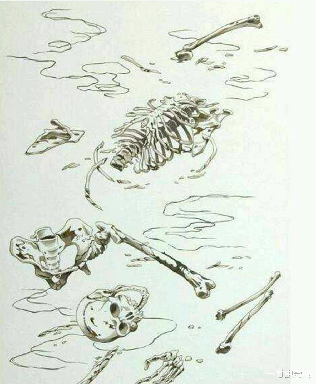 奇闻|奇闻：听说过九相图吗？人死后的过程，一年后回归自然，返璞归真