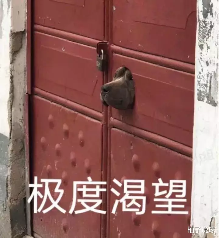 余嘉豪▲以下克上3连胜！詹姆斯儿子也要靠这个中国男孩！