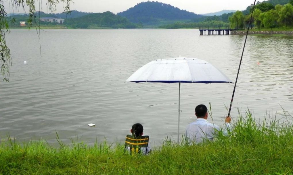 「」都说刮风天好钓鱼,但刮风天怎样选钓位呢?可不是选下风口就够了——盛世三渔