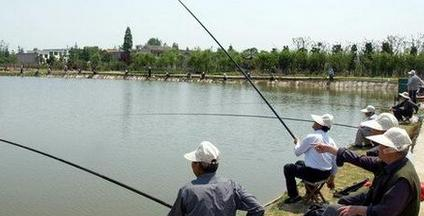 |渔人必看：高温季节鱼上浮，钓鱼老司机教你夏季如何钓浮！