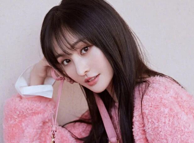 【郑爽】郑爽拿下《春日宴》女主？男主居然是他，内娱头号CP金瓜！