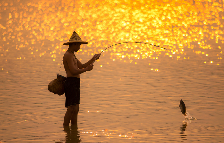 |故乡的河湾呀，那曾是我们的乐园，也是我今天常常怀念的地方。