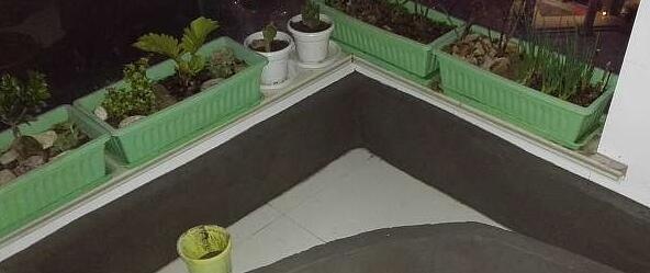 偷偷在阳台砖砌鱼池, 邻居来玩, 去物业把我投诉了