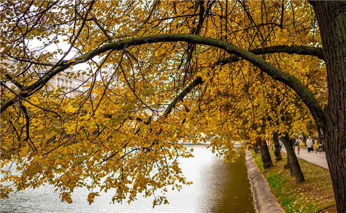 『』往事如梦，真情难忘，3星座情坎坎情路，旧情亦终将圆满！