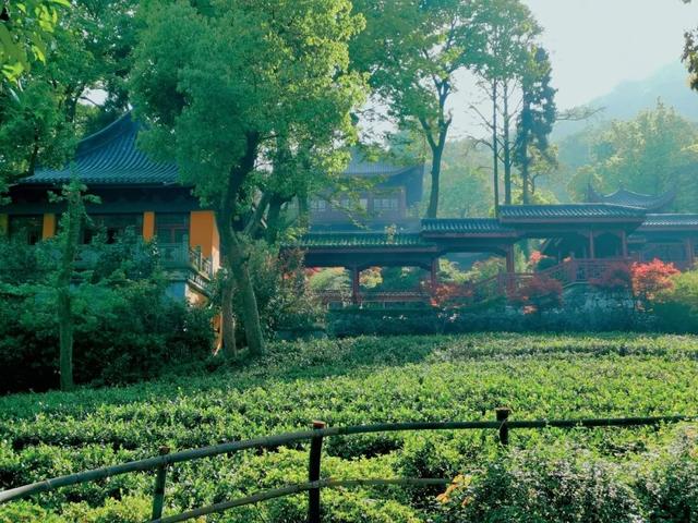 灵隐寺|4年前,那个入职灵隐寺90后小伙,还不起房贷辞职“还俗”了