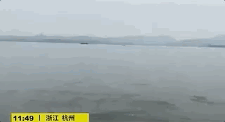 [快递]故宫今早刚开门，这一幕就戳中了我
