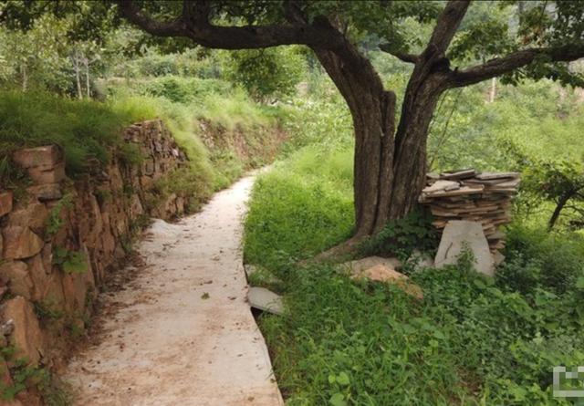 |藏在深山中的古村，原生态环境古朴幽静，雨后云雾缭绕似人间仙境