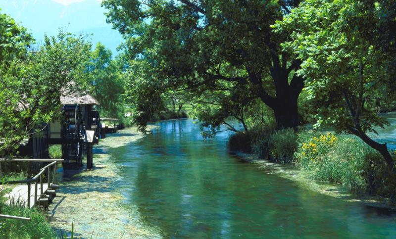 濒危物种|大湖灰狼保持濒危状态