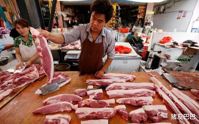 一斤豬肉28，豬價還在“呼哧呼哧”漲，豬肉啥時降至“白菜價”？-圖4