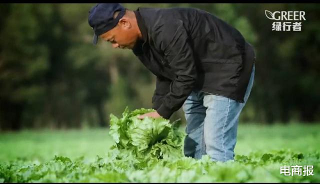 |线下年销10亿的“生菜大王”，为什么也要转型做电商？