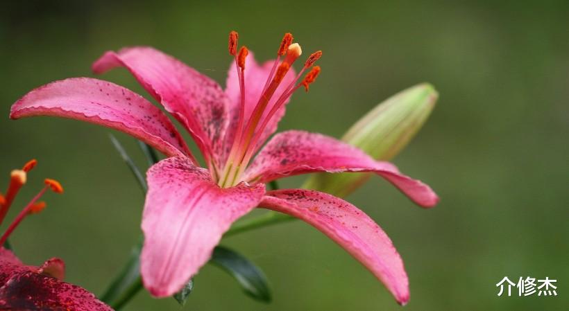 [生肖]六月份下旬，情商智商双高，很抢手，非常受异性的欢迎的四大生肖