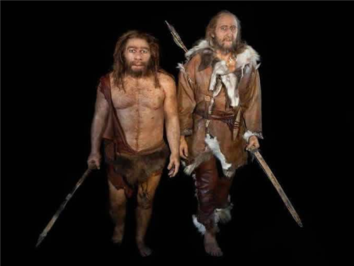 基因|人类虽进化出了语言，却付出了“惨痛代价”，只有黑猩猩得以幸免