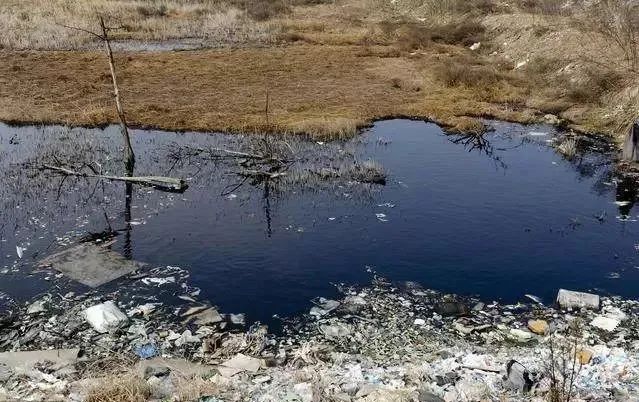 洱海|1年前，拆了1806家客栈的洱海，现在怎么样了？