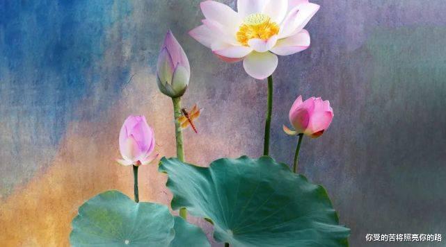 运势：7月初，财气逼人，3生肖运势不差，事业一路发，想不富都难