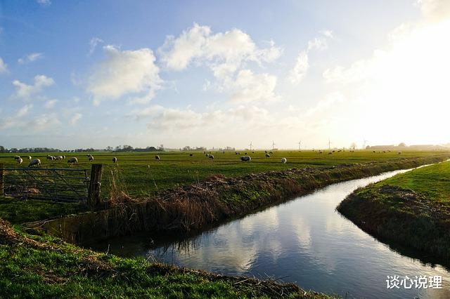 处女座|11月下旬，桃花冲天，真爱轮回，3星座姻缘归位，携手甜蜜复合