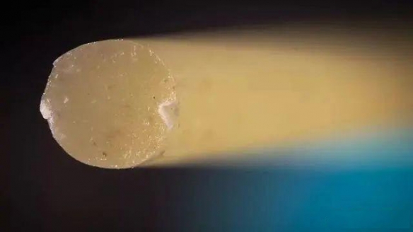 显微镜|25张显微镜下事物的神奇照片，看了巧克力饼干很难有食欲