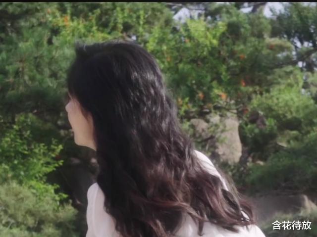 赵丽颖|颖宝拍绝美大片，温婉优雅、宛如仙女！评论区却成为了亮点！