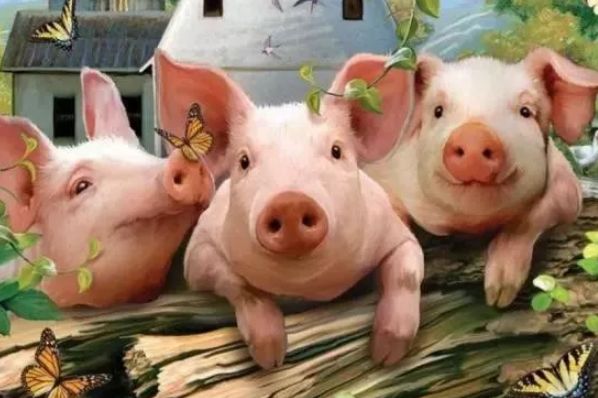 猪肉|猪肉价格迎“断崖式”下跌，中秋国庆双节将至，会降到20元以内吗